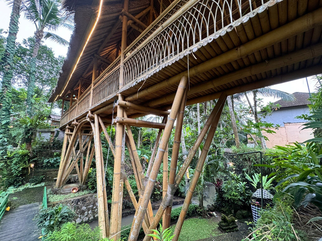 科里乌布度假村主图