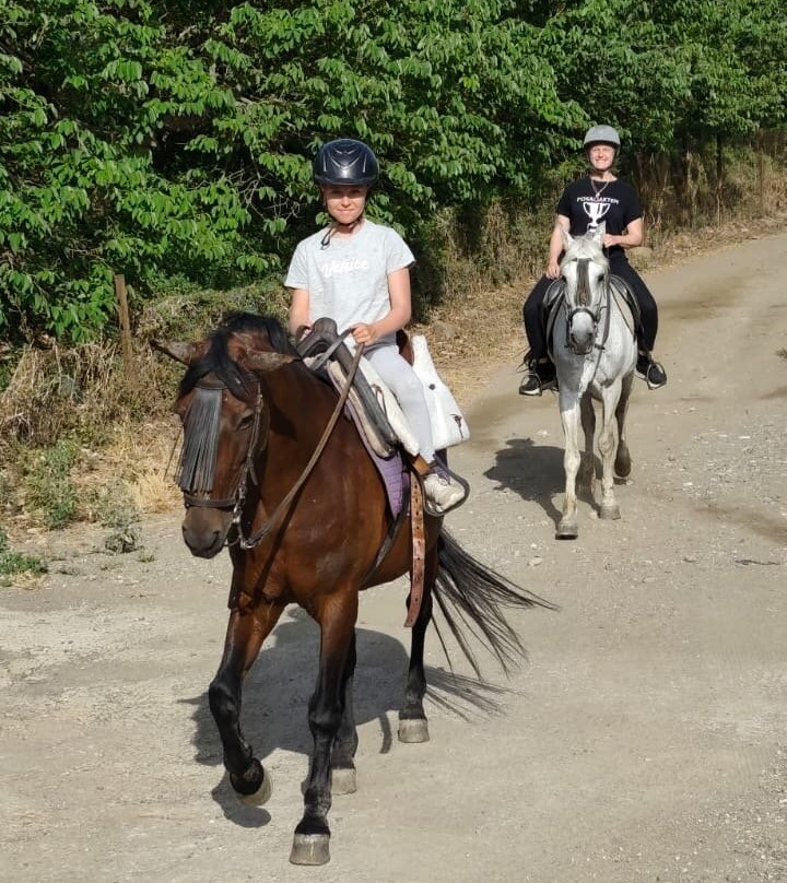 Andale Riding Nerja-内尔哈必去景点
