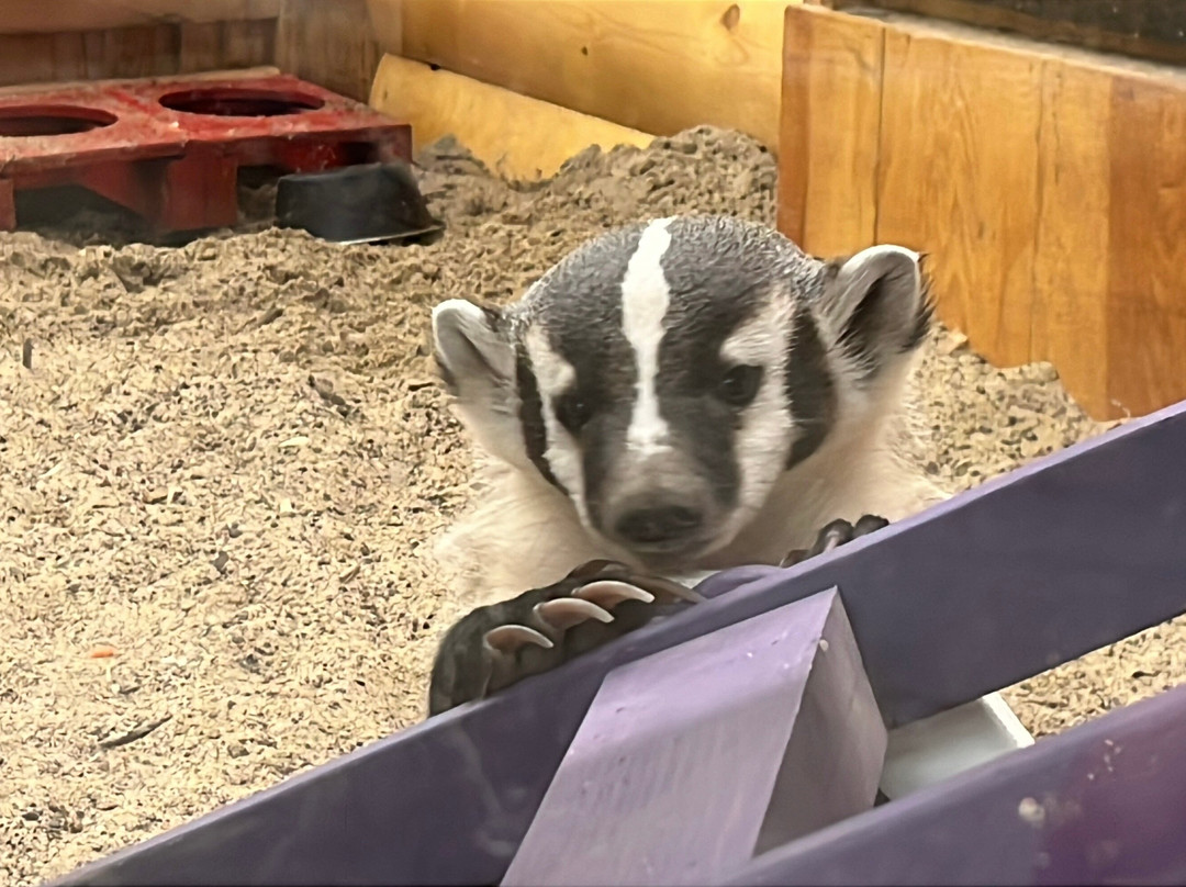 Sustainable Safari-Maplewood必去景点