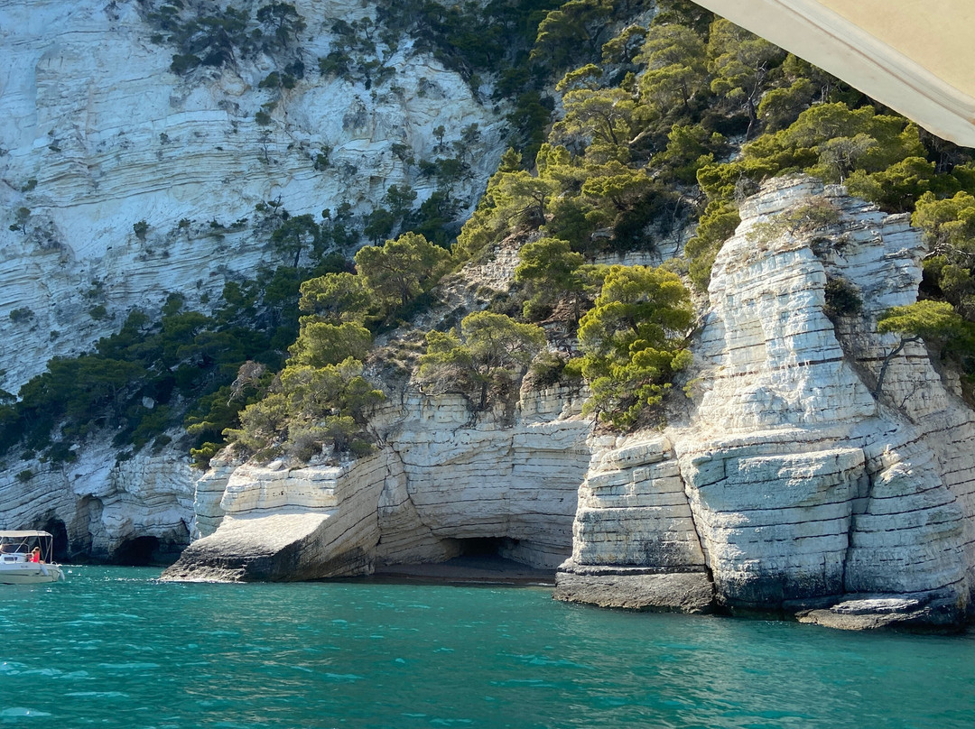 Effettigargano-维耶斯泰必去景点