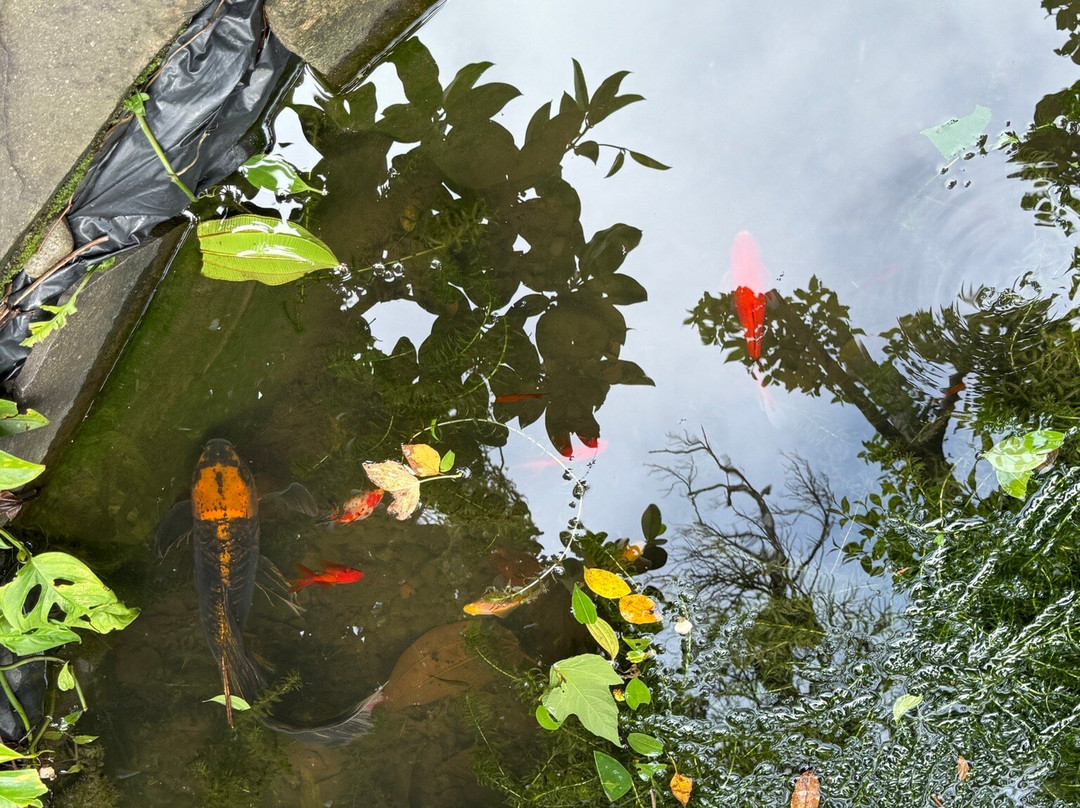 Arte Jaguar Gallery-蒙特维多云雾森林自然保护区必去景点