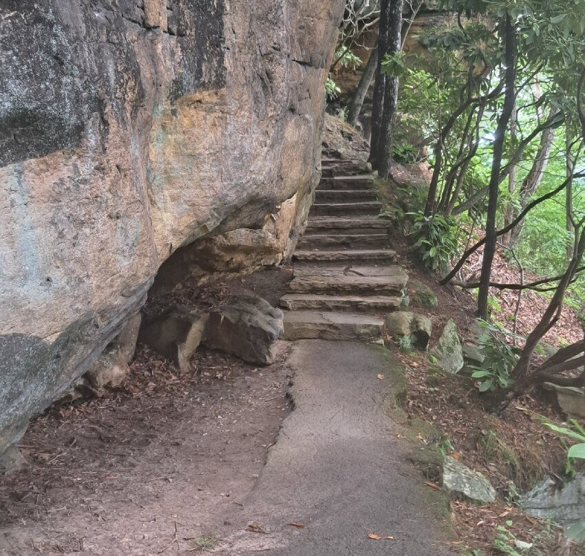 Turkey Spur Overlook-Beaver必去景点