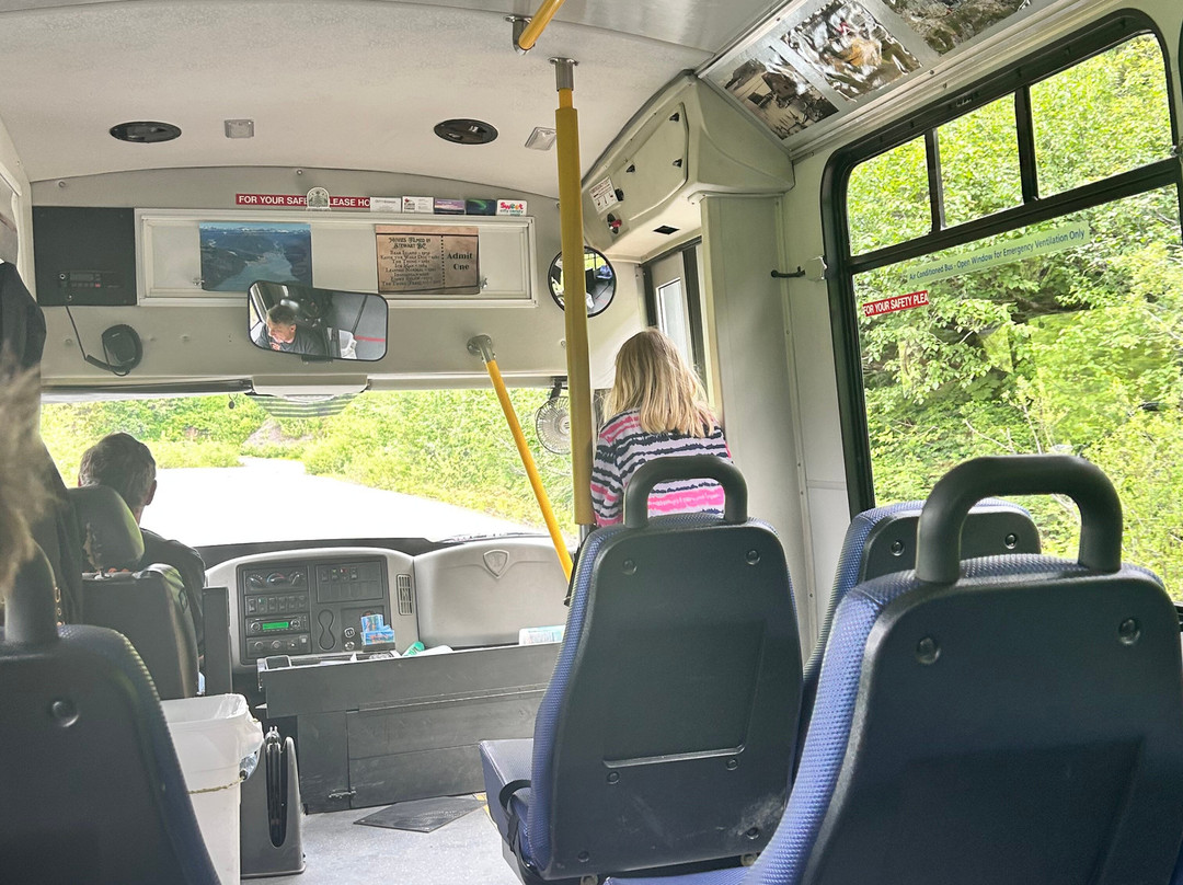 Whitecap to Icecap Adventures-Stewart必去景点