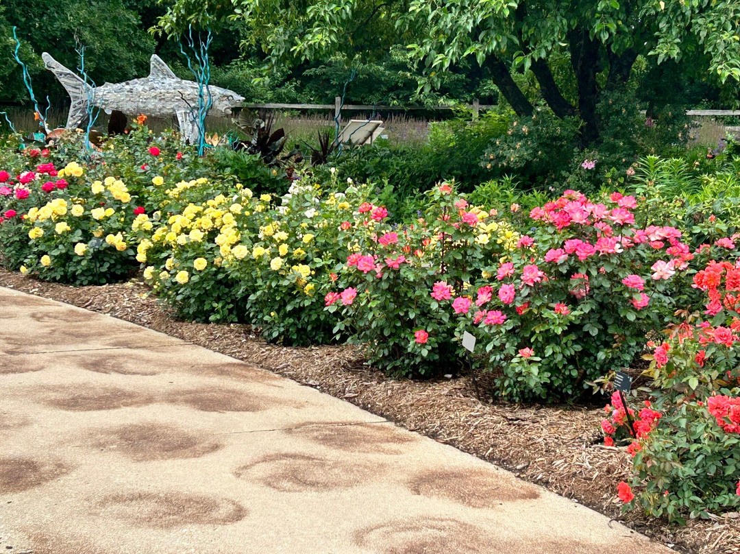 Green Bay Botanical Garden-格林贝必去景点