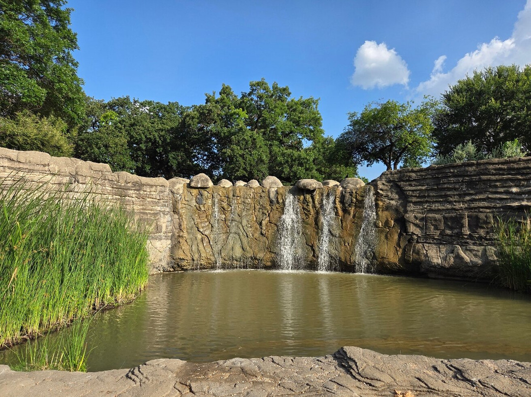 Dallas Cattle Drive Sculptures-达拉斯必去景点