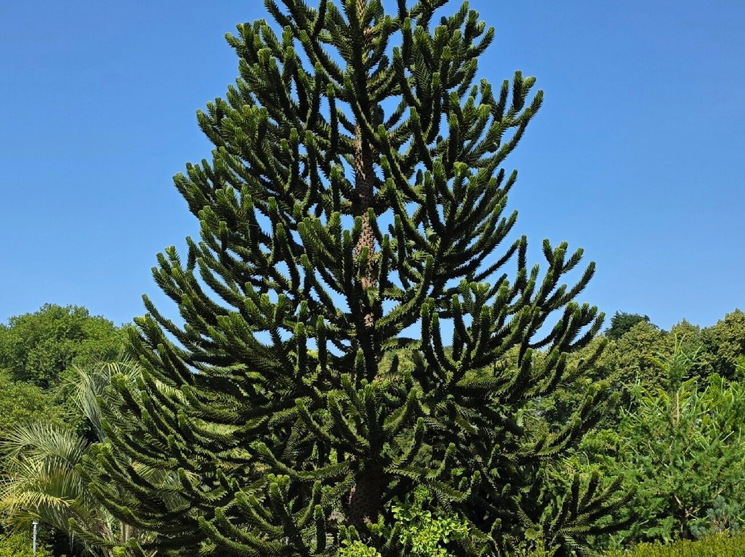 Botanical Garden Münster-明斯特必去景点