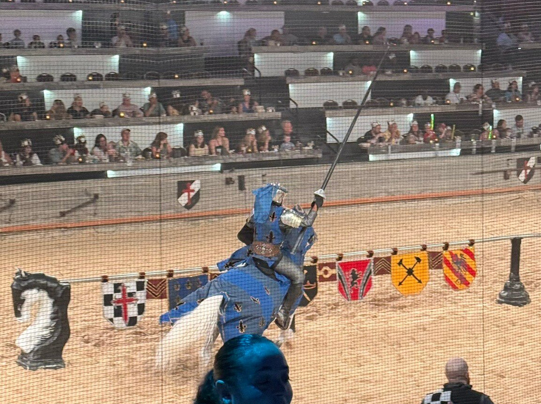 Medieval Times Dinner & Tournament-美特尔海滩必去景点
