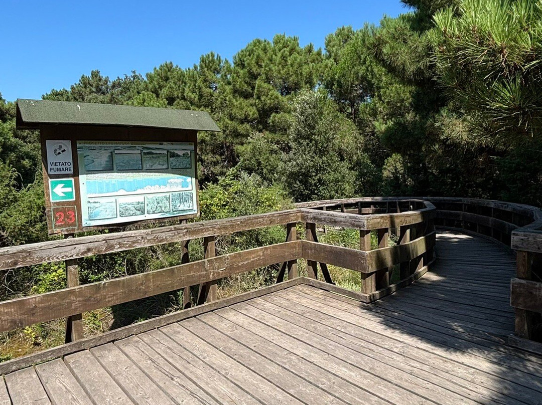 Giardino Botanico Litoraneo di Porto Caleri-罗索利纳必去景点