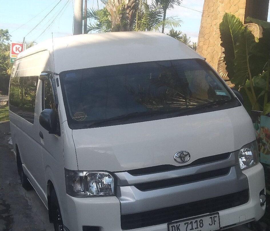 I Made' Wijaya Private Bali Tours and Transport Service-登巴萨必去景点