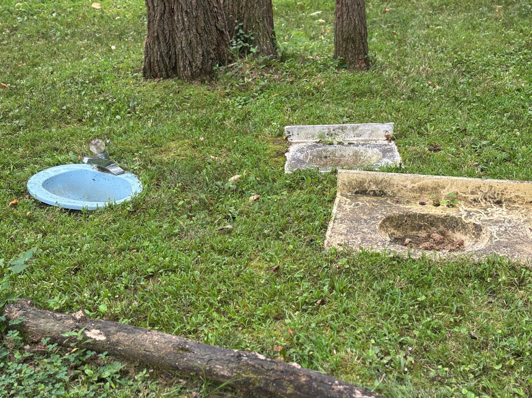 Apple Valley Hillbilly Garden and Toyland-Calvert City必去景点