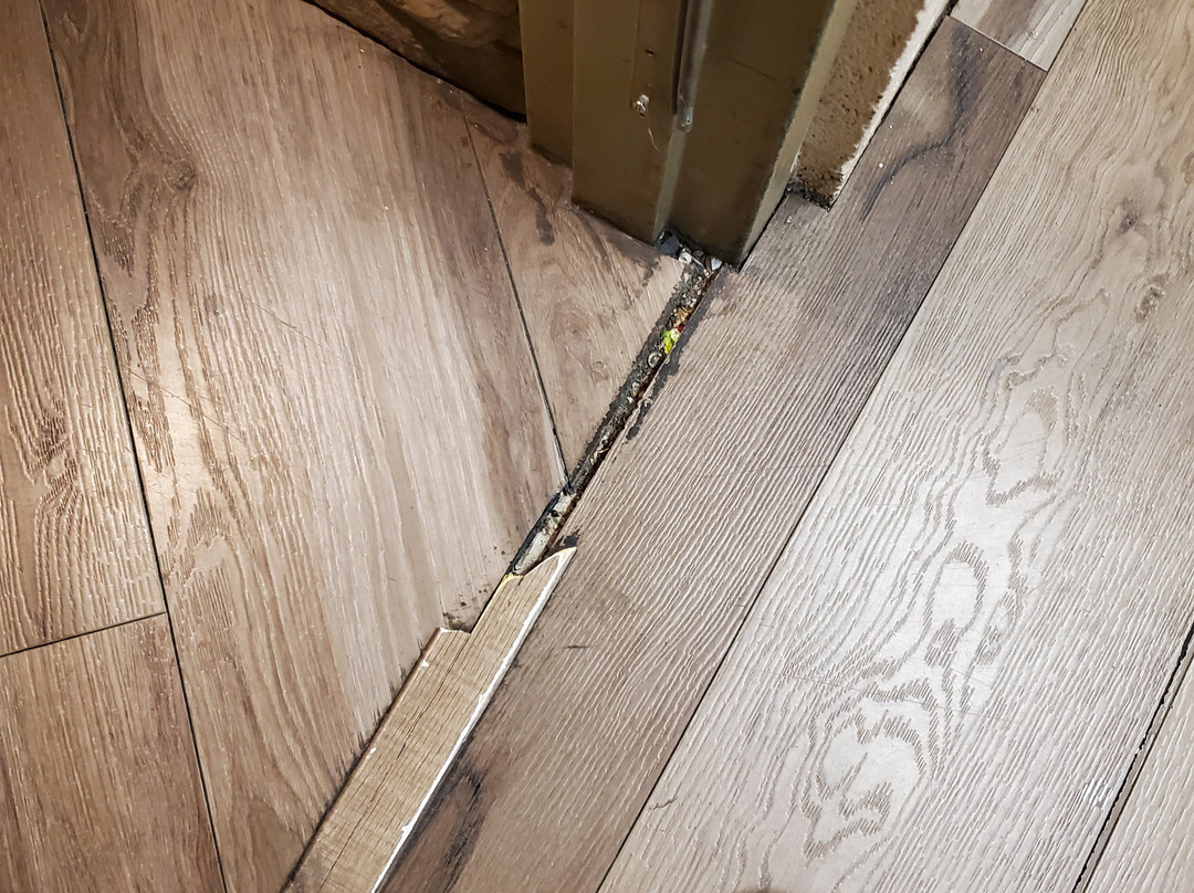 查理斯顿山度假酒店主图