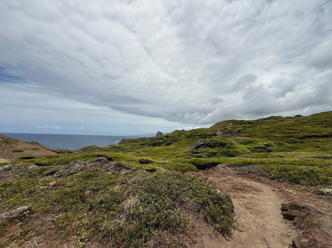 Ohai Loop Trail and Overlook-拉海纳必去景点