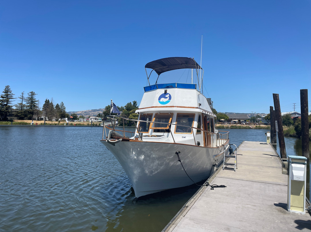 Marina and Turning Basin