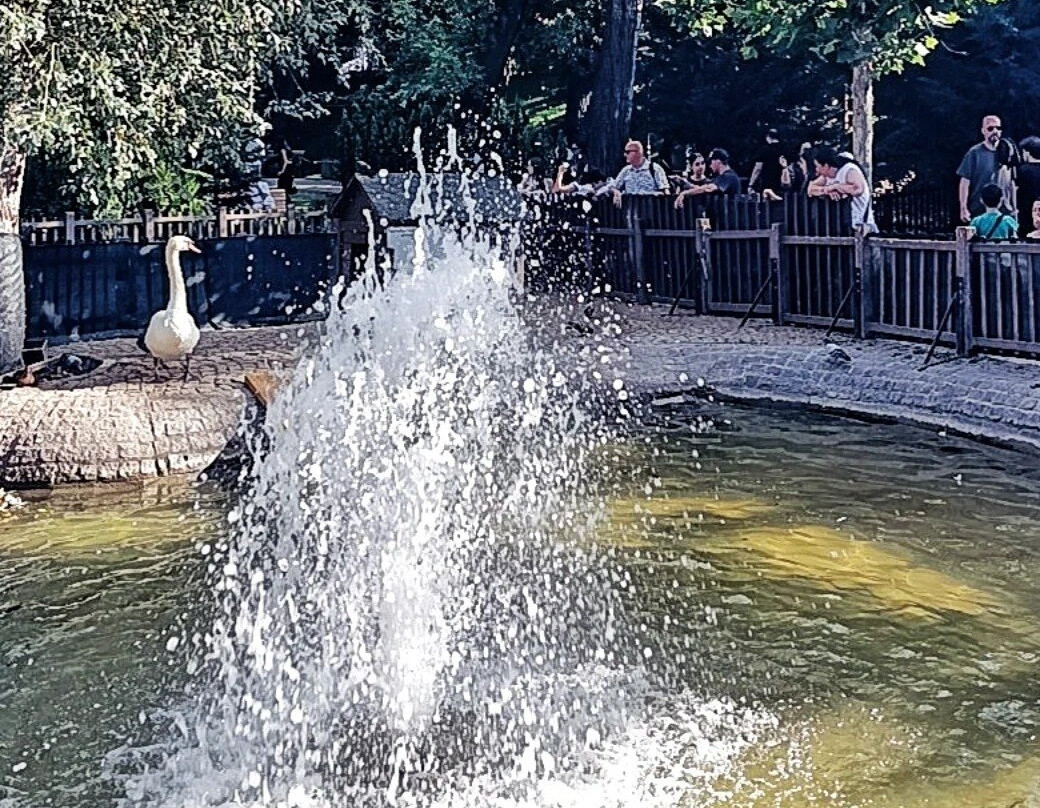 Kuğulu Park-安卡拉必去景点