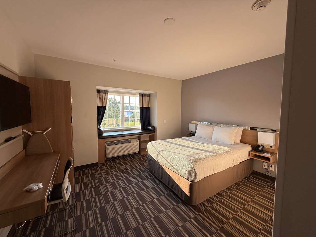 Microtel Inn & Suites by Wyndham South Hill主图