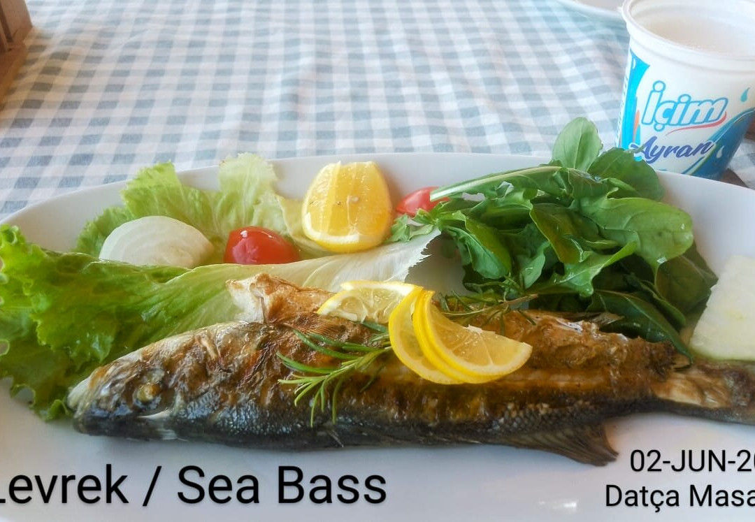 Datca Masal Gibi Plaj&Restaurant主图