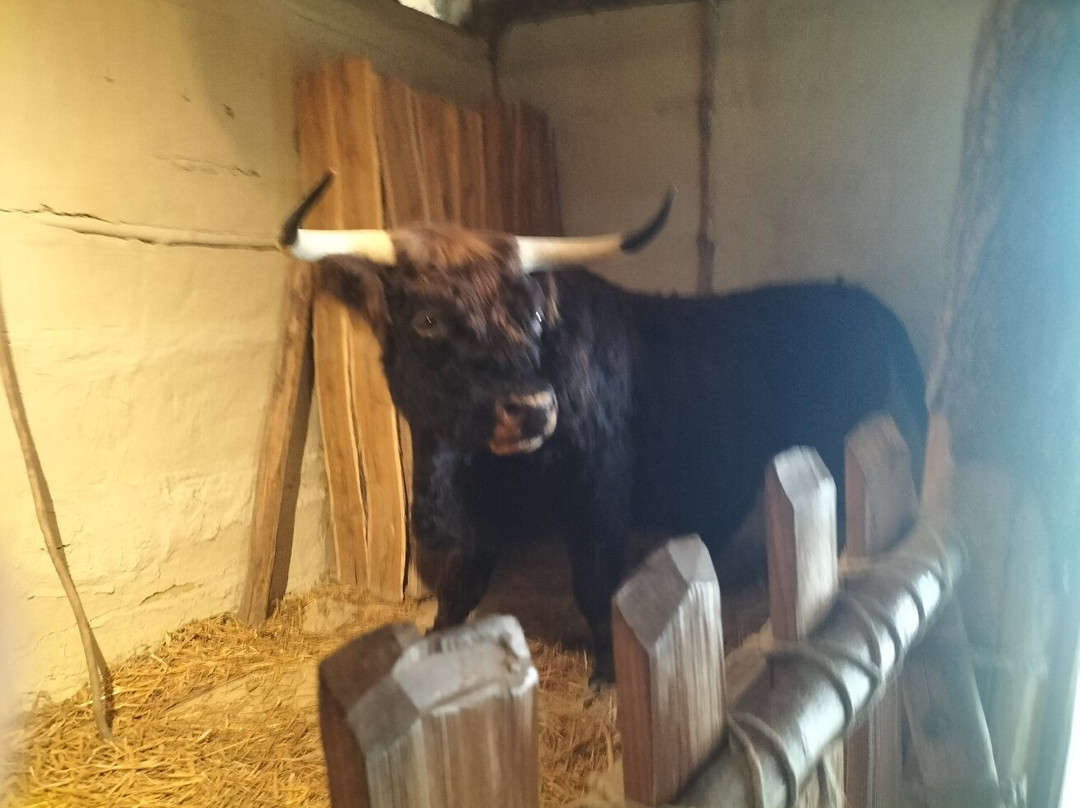 Pfahlbauten Museum-Unteruhldingen必去景点