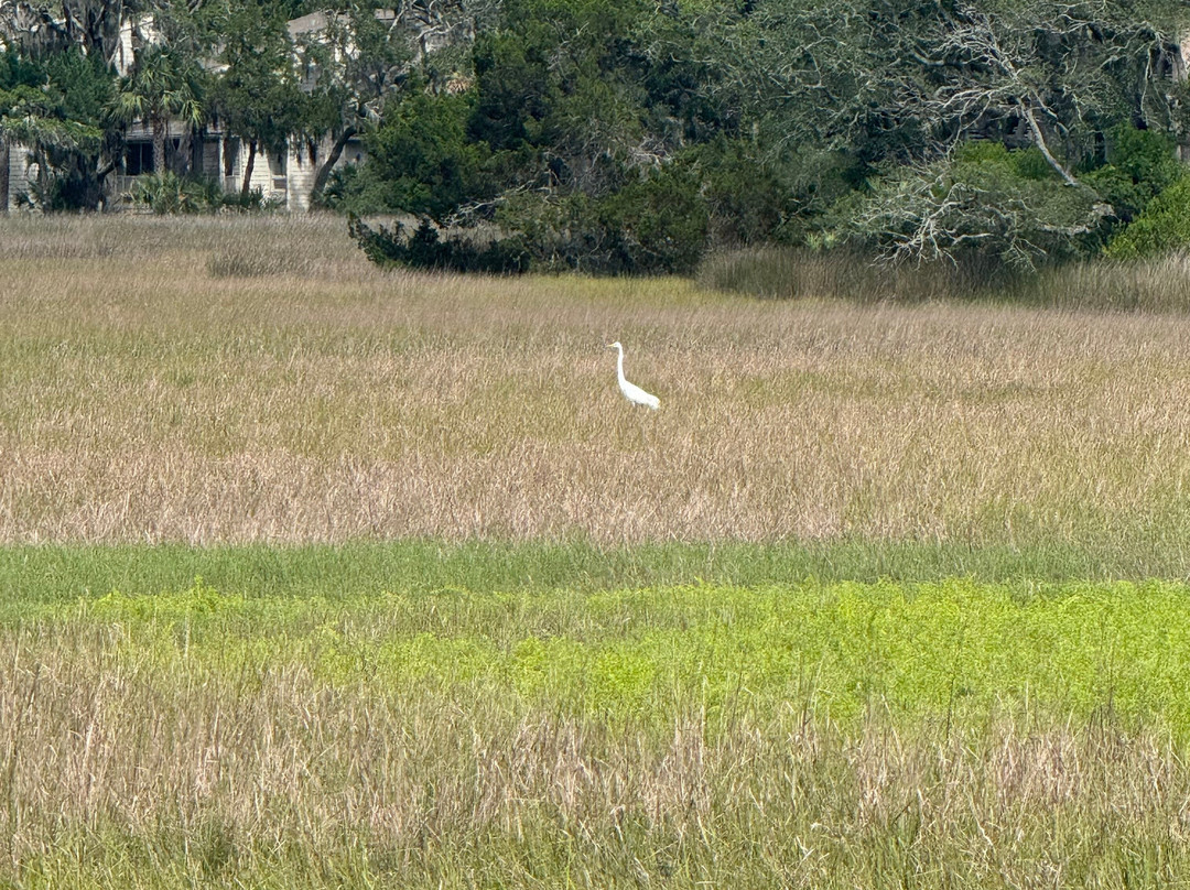 Amelia Island Nature Center-阿米莉亚岛必去景点