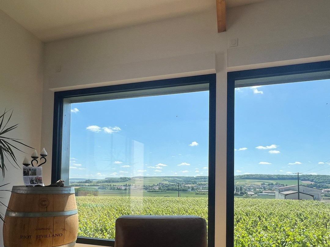 Champagne Piot-Sévillano-Vincelles必去景点