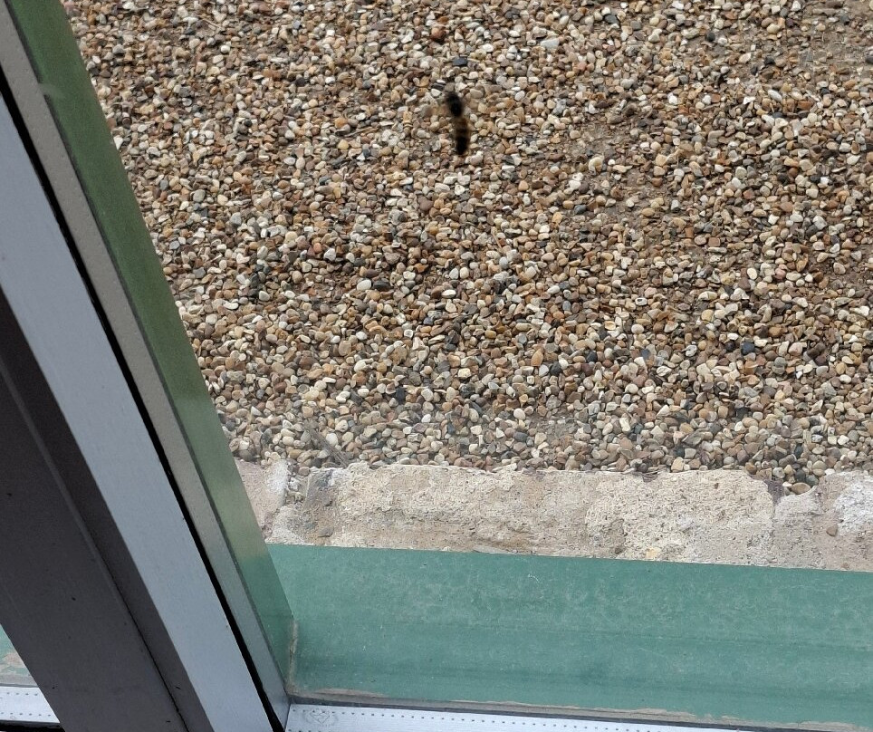 Hainault Forest Country Park-Chigwell必去景点