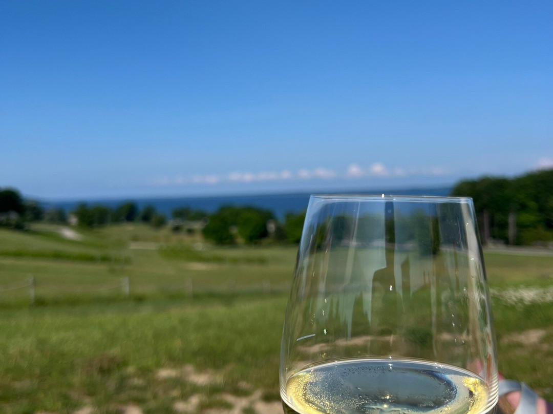 Mari Vineyards-特拉弗斯城必去景点