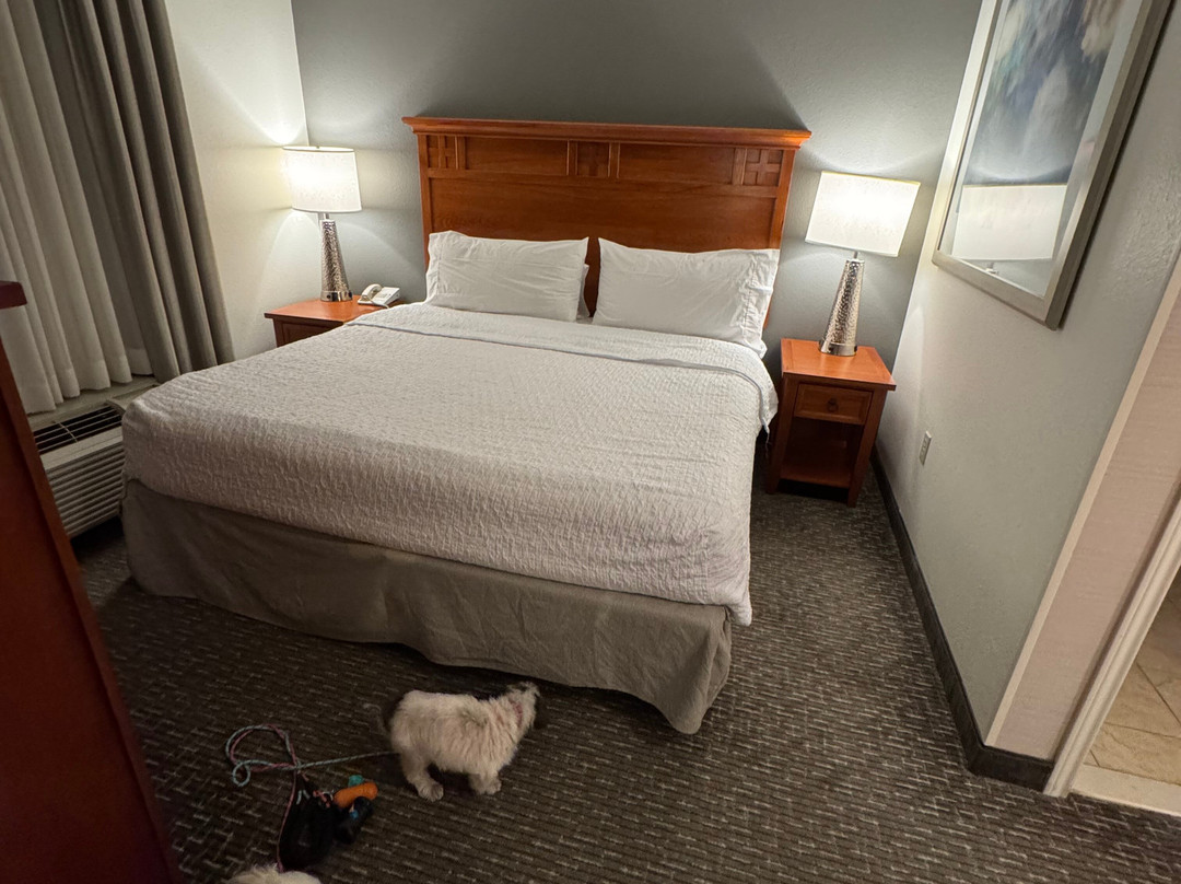 Homewood Suites by Hilton Agoura Hills主图