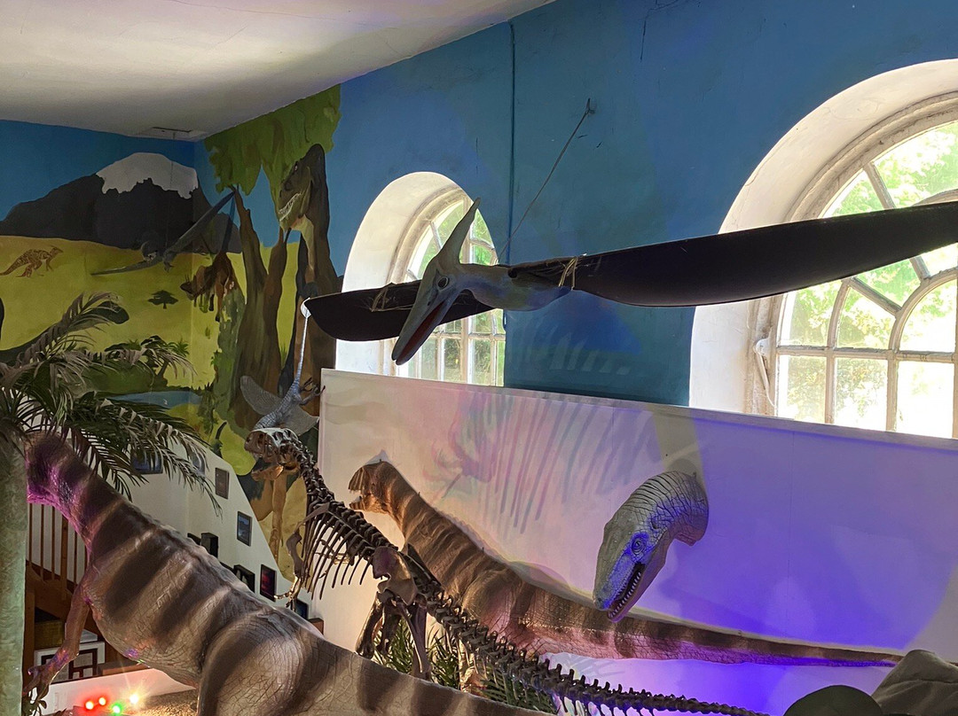 Dinosaurland Fossil Museum-莱姆里杰斯必去景点