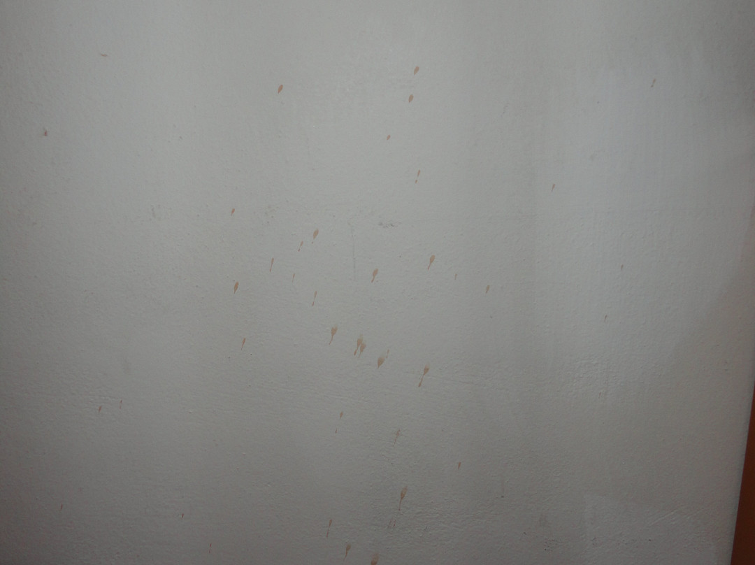 Sonnenresidence Ritten主图