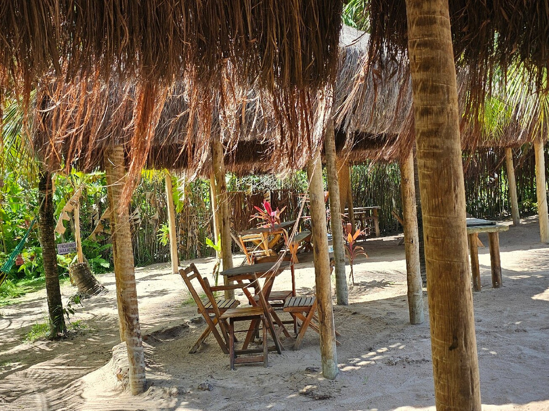 Recanto Pacheco-Rio do Fogo必去景点