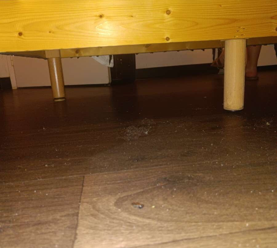 HOTELF1 巴黎维勒蒙布尔酒店主图