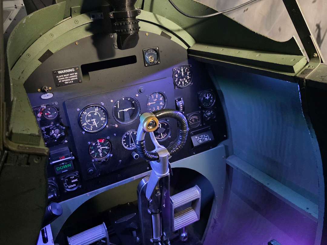 Flight Sim Centre-纽卡斯尔必去景点