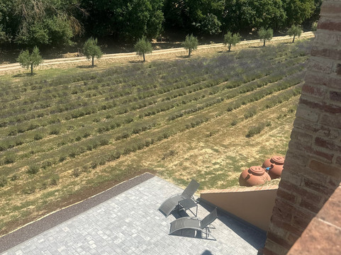 美丽格农场健康与水疗中心主图