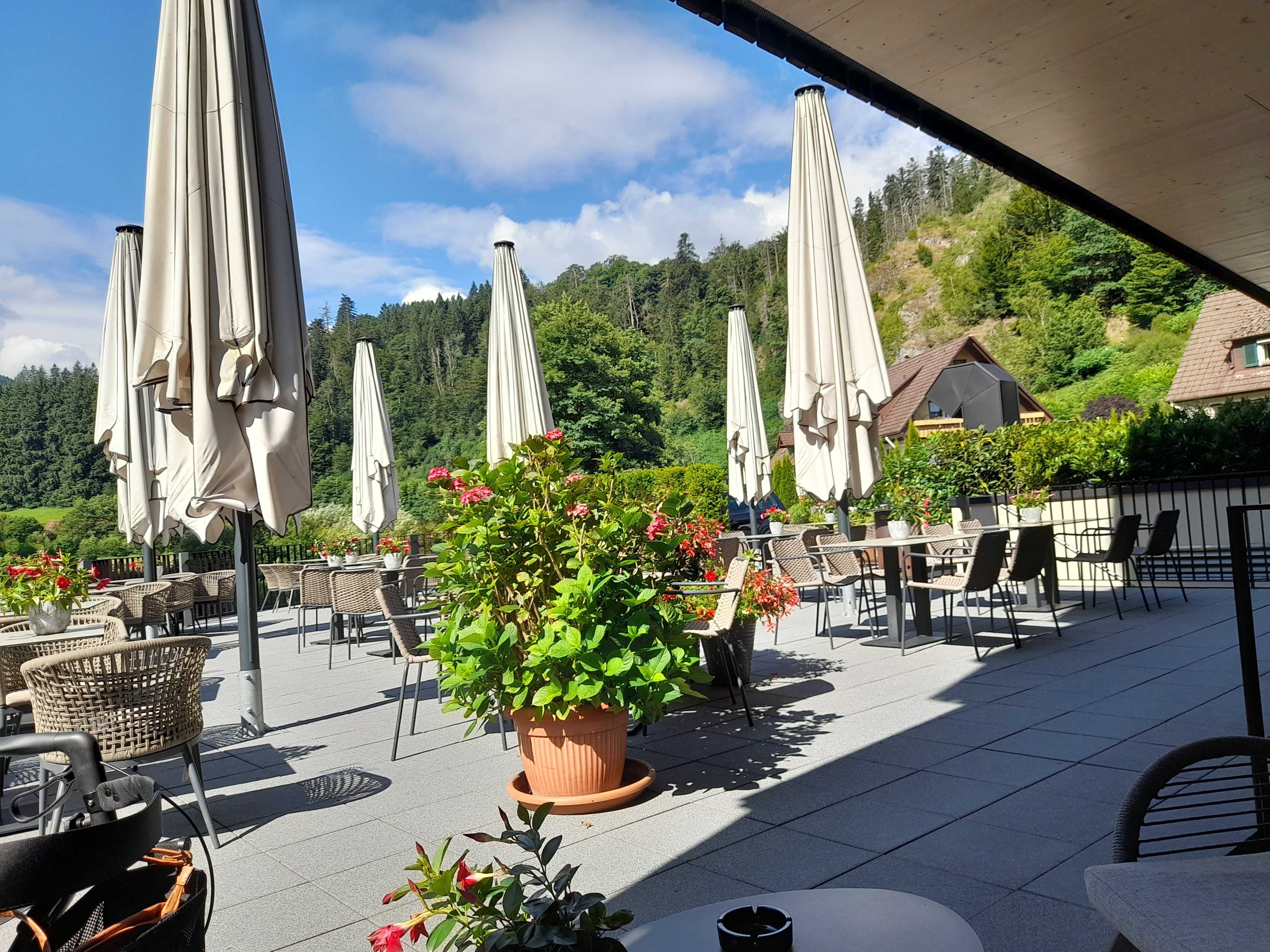 Hotel Sackmann-官方