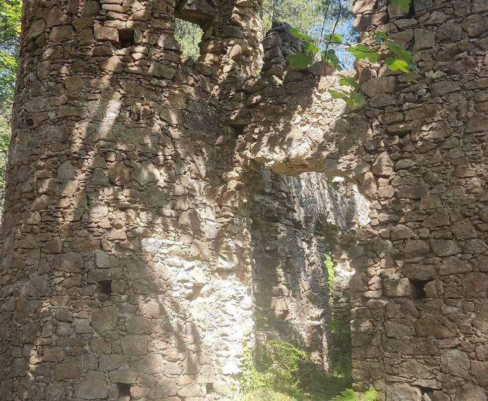 Parco Naturale Regionale delle Serre-Serra San Bruno必去景点
