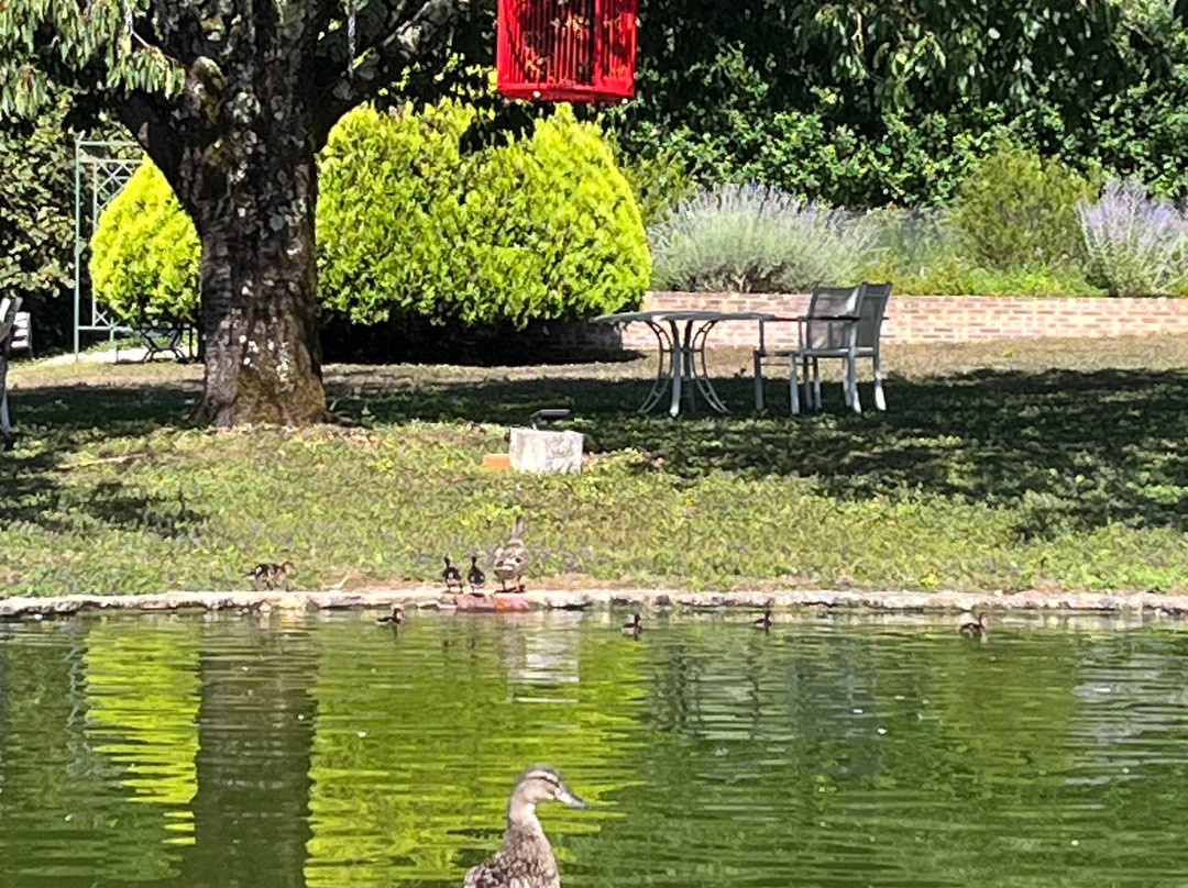 圣乔治森林驿站酒店主图