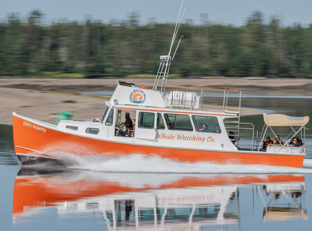 Cruisin' With The Whales-Saint Andrews必去景点