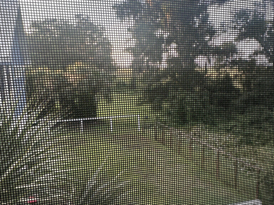 Darien Waterfront Inn - Bed & Breakfast主图