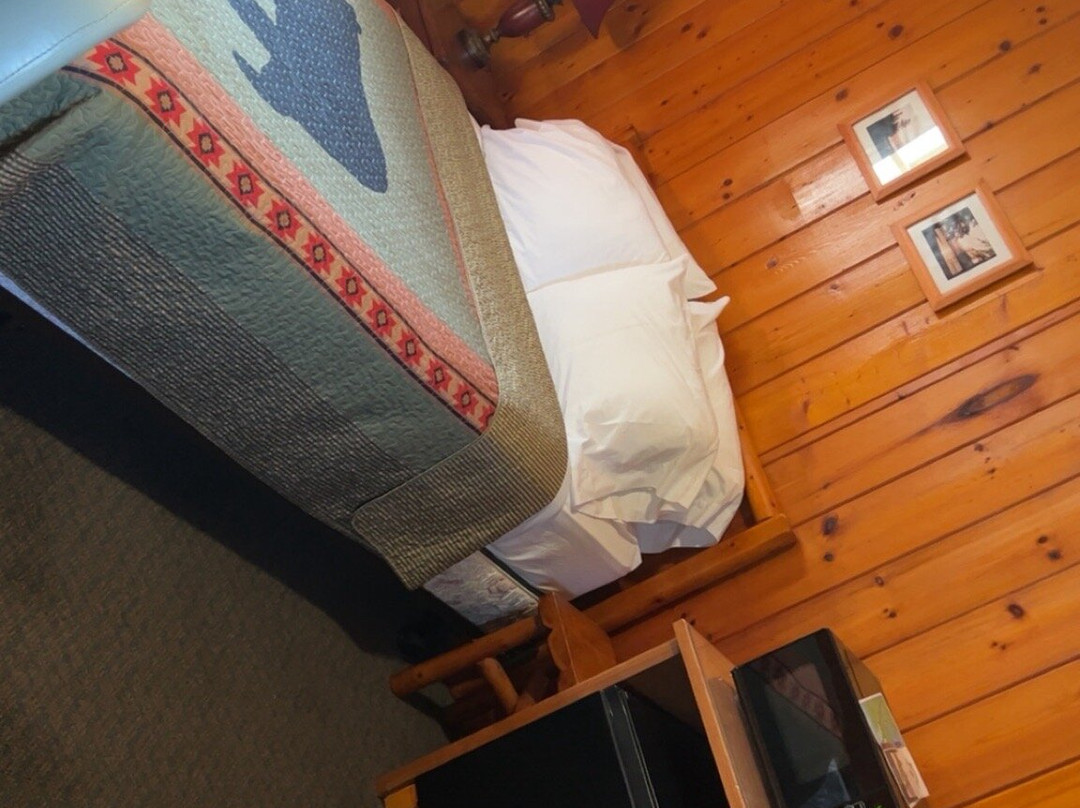 The Cedars Motel主图