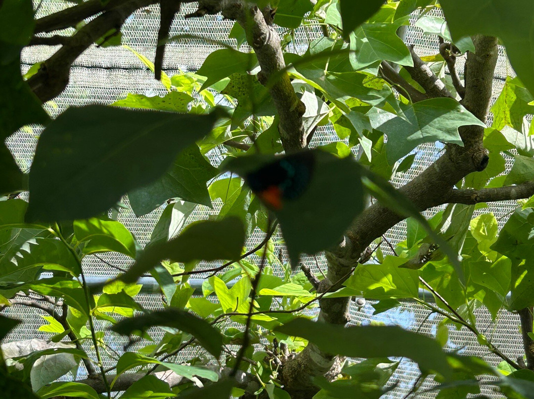 Springfield Botanical Gardens at Nathanael Greene/Close Memorial Park-斯普林菲尔德必去景点