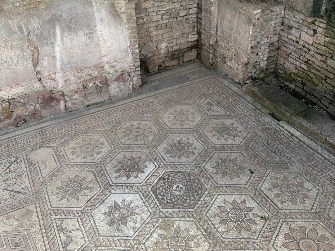 Floor mosaic The Punishment of Dirce-普拉必去景点