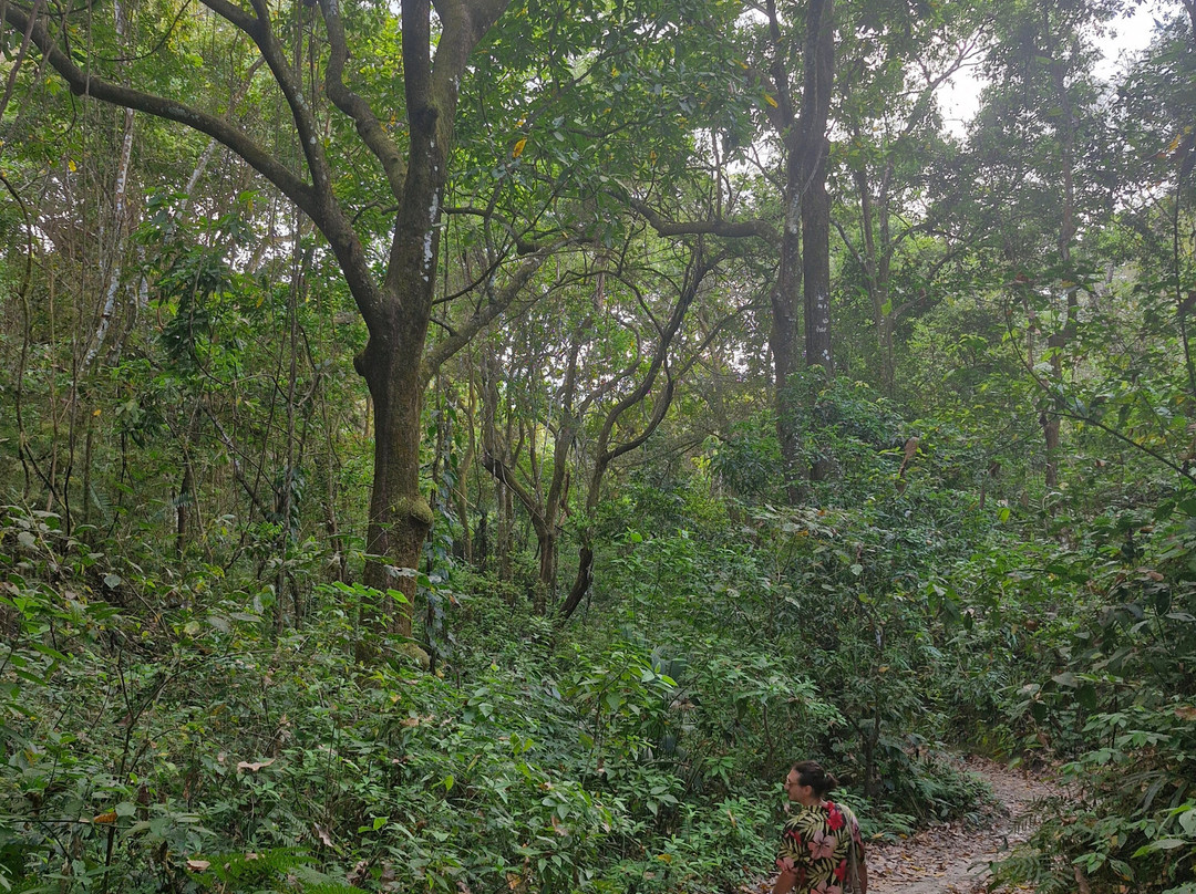 Faro Mirador Tayrona