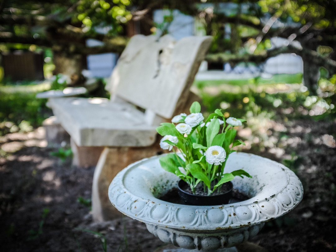 La Bergerie Saint Michel主图