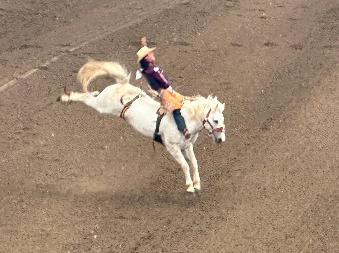 California Rodeo Salinas-萨利纳斯必去景点