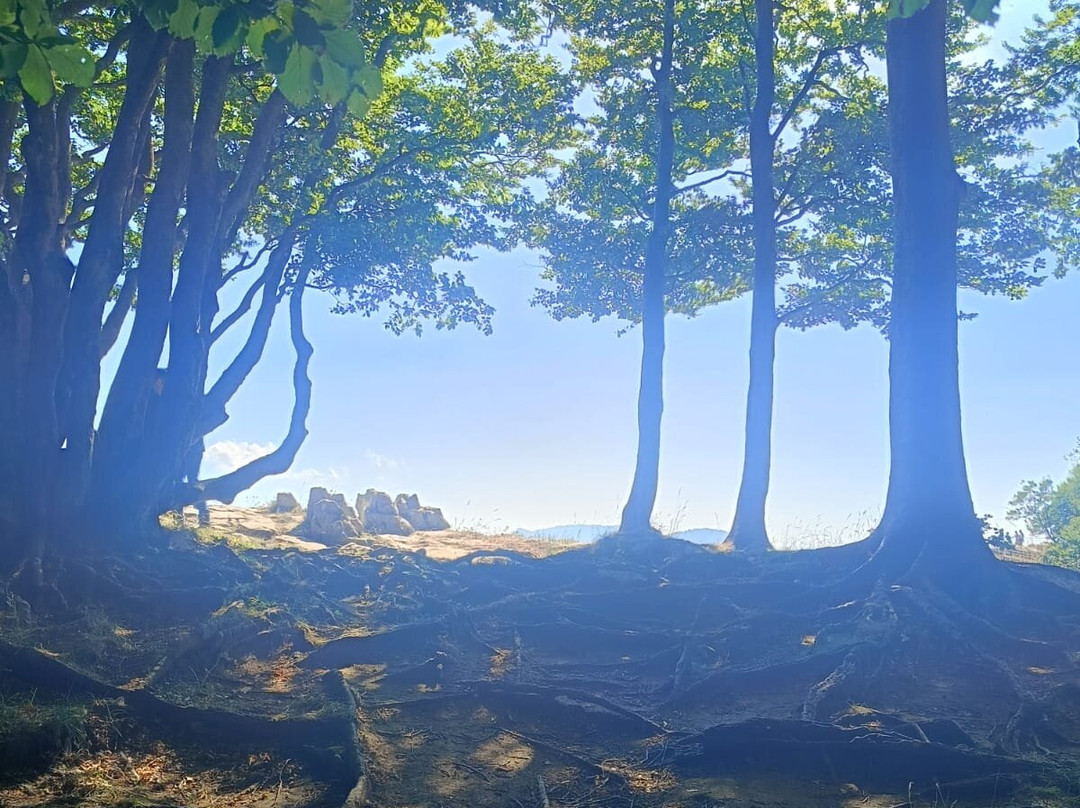 Cartotrekking-阿杰罗拉必去景点