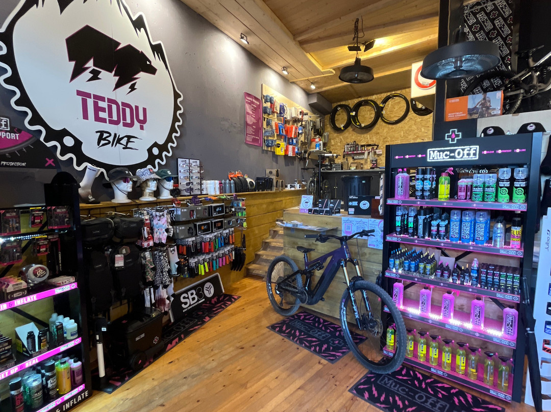 Teddy Bike