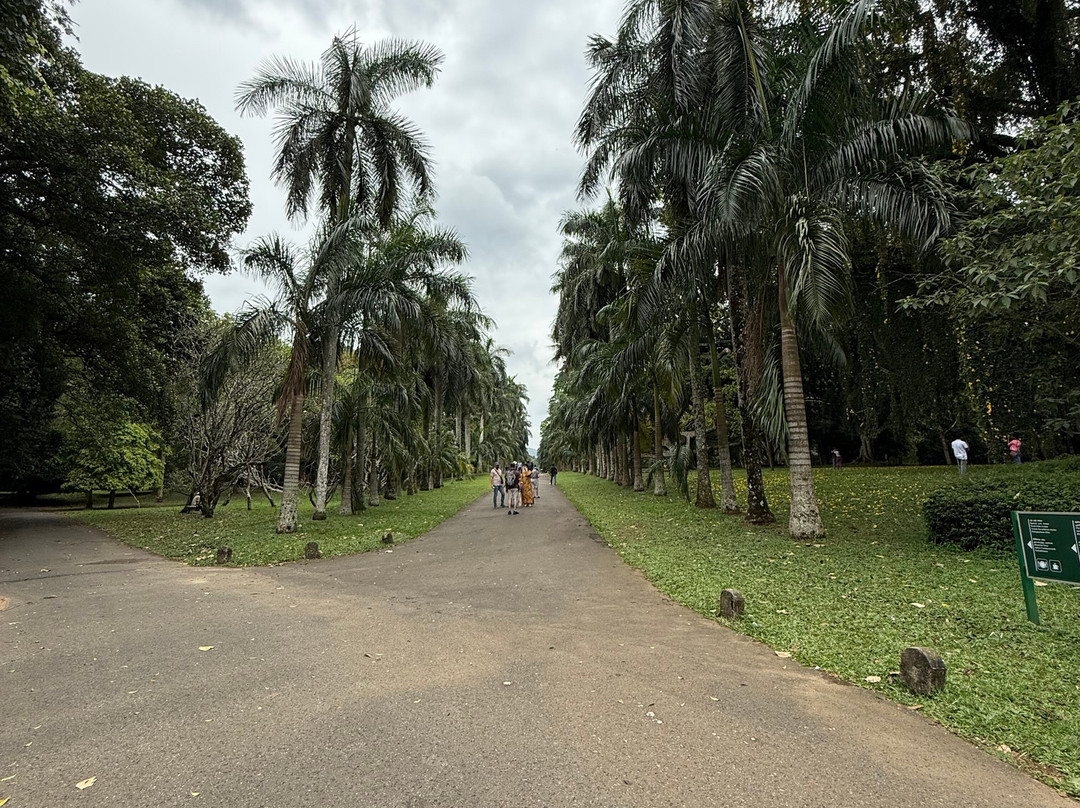 Vira Ceylon Tours & Travels-米迪加玛必去景点