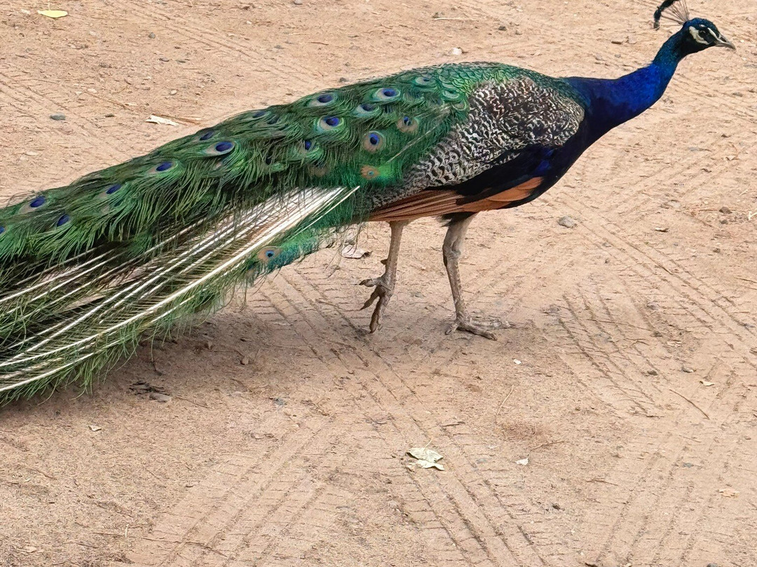 B-Square Ranch-法明顿必去景点