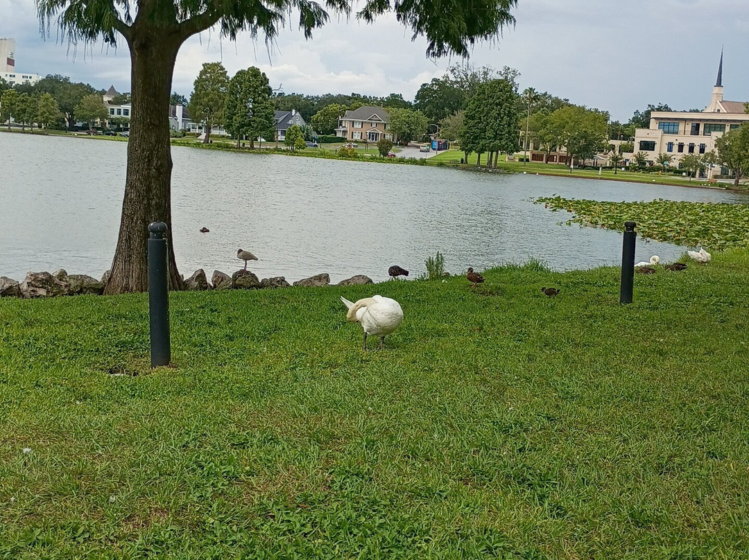 Lake Morton-莱克兰必去景点