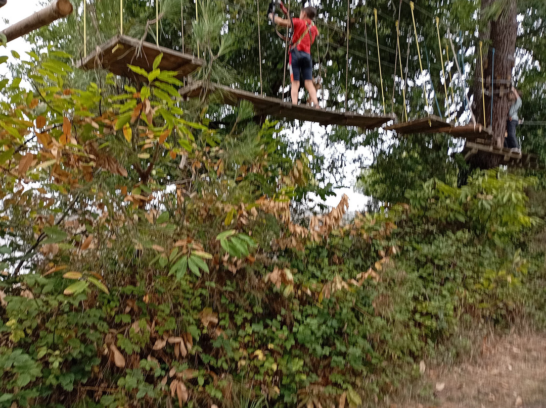 Monkey Forest-Saint-Molf必去景点