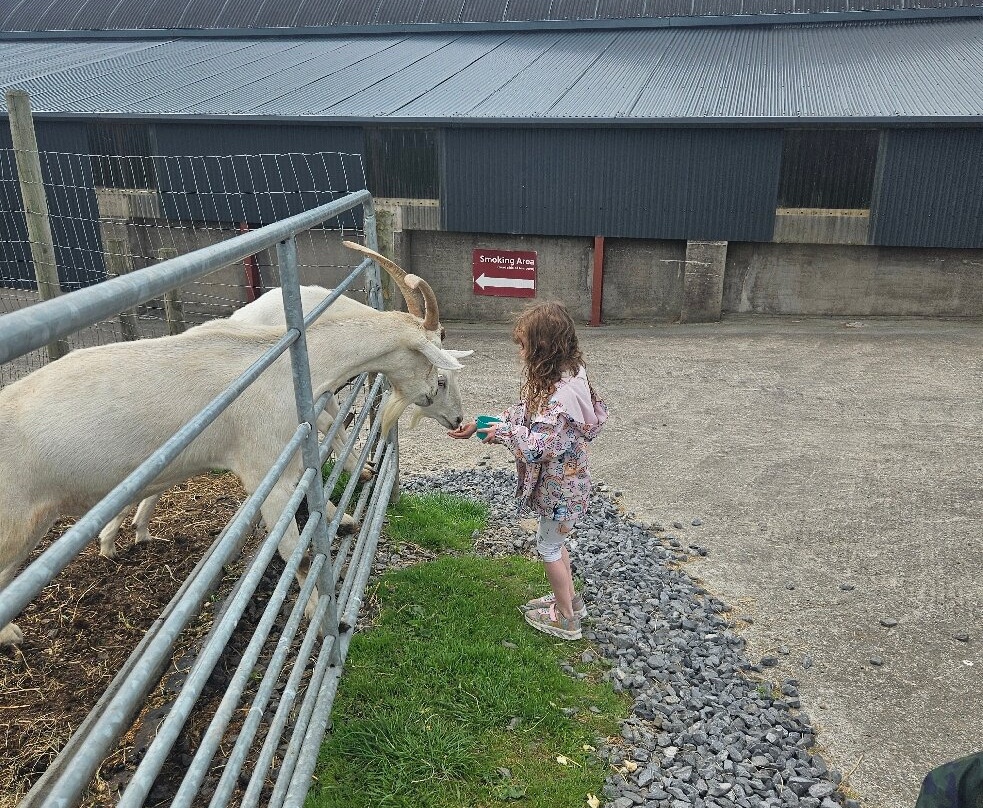 Fermanagh Fun Farm-Lisbellaw必去景点